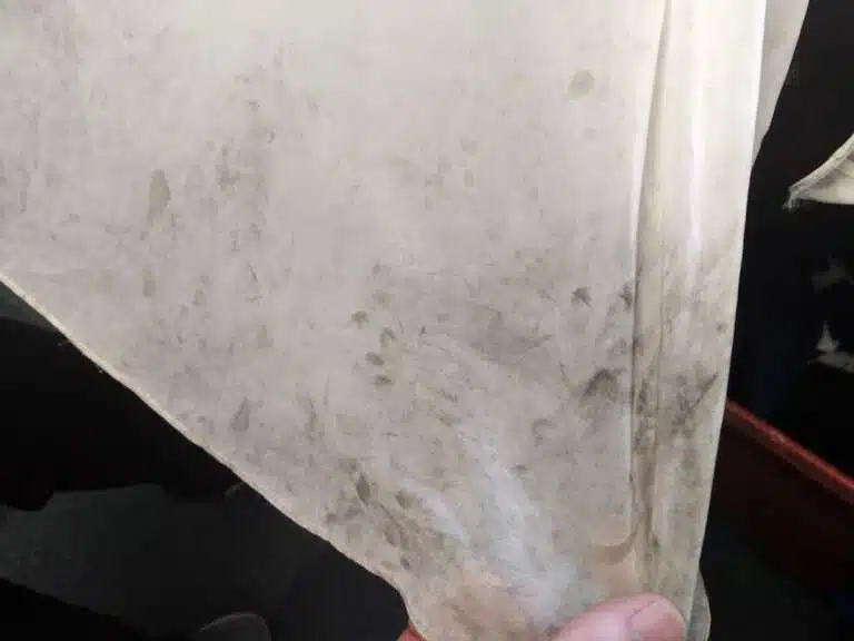 Cleaning Wedding Dresses Before picture