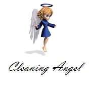 Specialist Dry Cleaners
